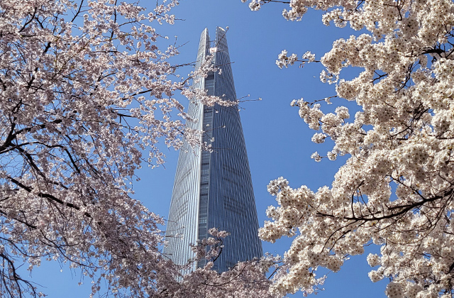 서울사무소 — Branch Office